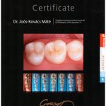 Dr. Joós-Kovács Máté - oklevél